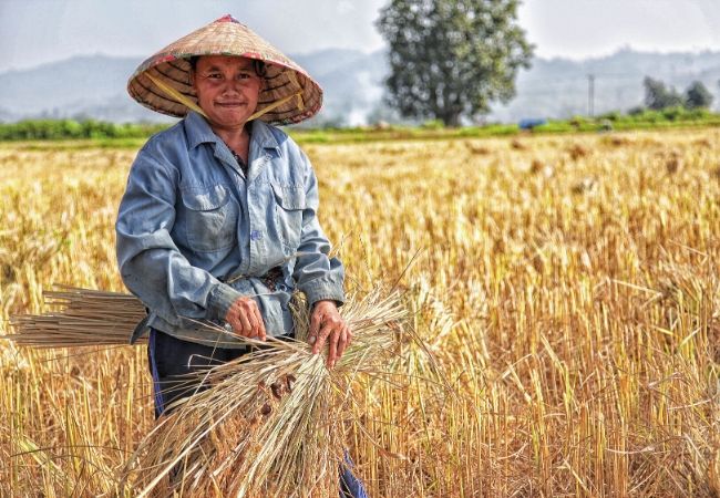 Recrutare personal asiatic in agricultura