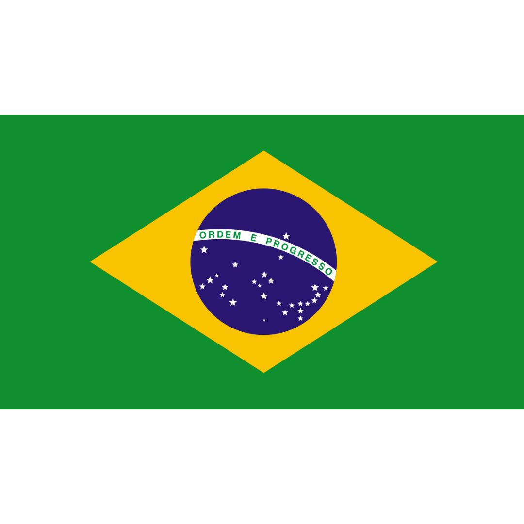Steag Brazilia