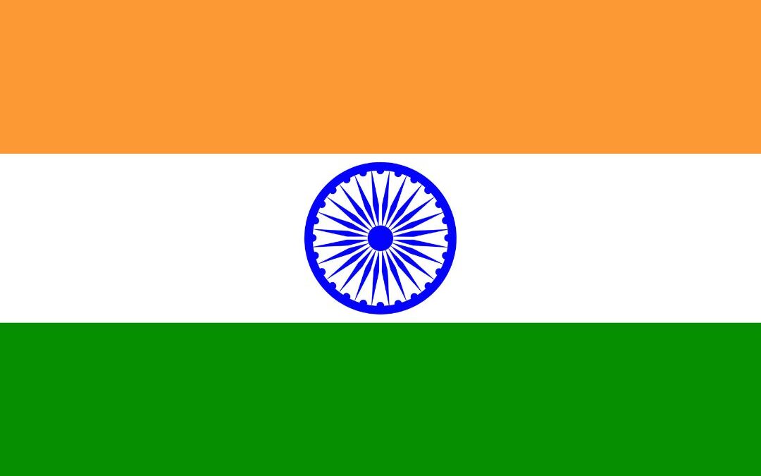 Steag India