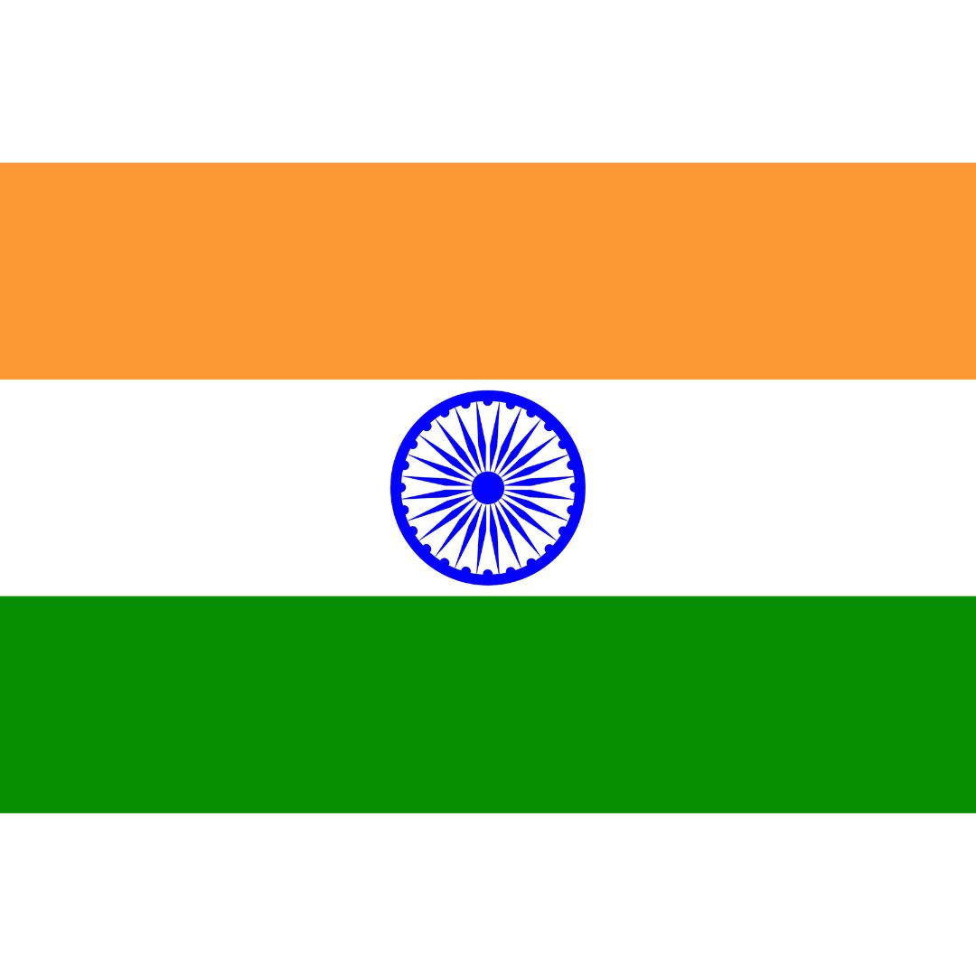 Steag India