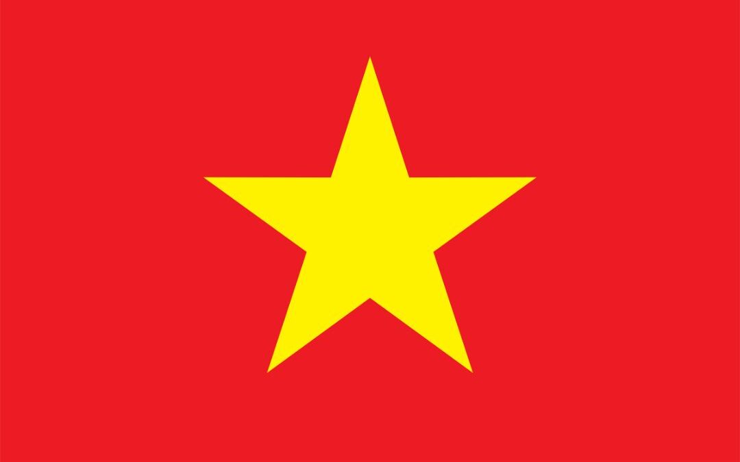 Steag Vietnam