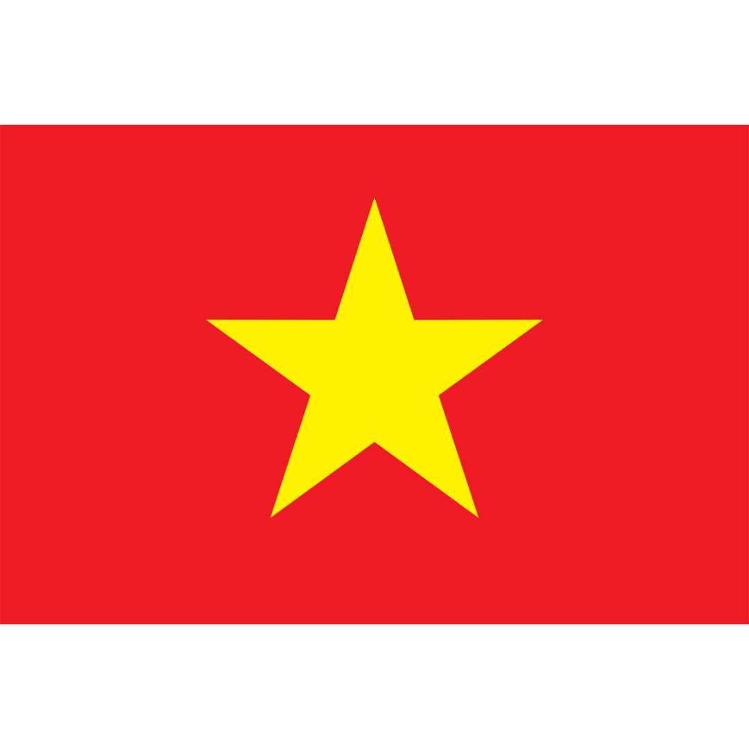 Steag Vietnam