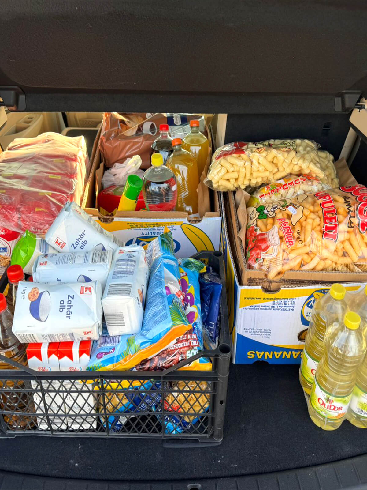 Pildesti education support